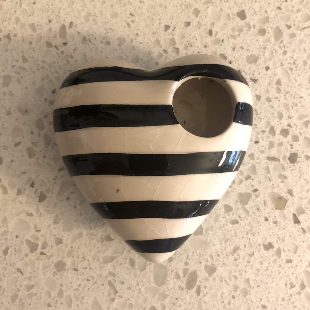 Air Plant Magnet Pot